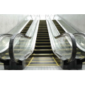 Usine d&#39;escaliers roulants pour passagers